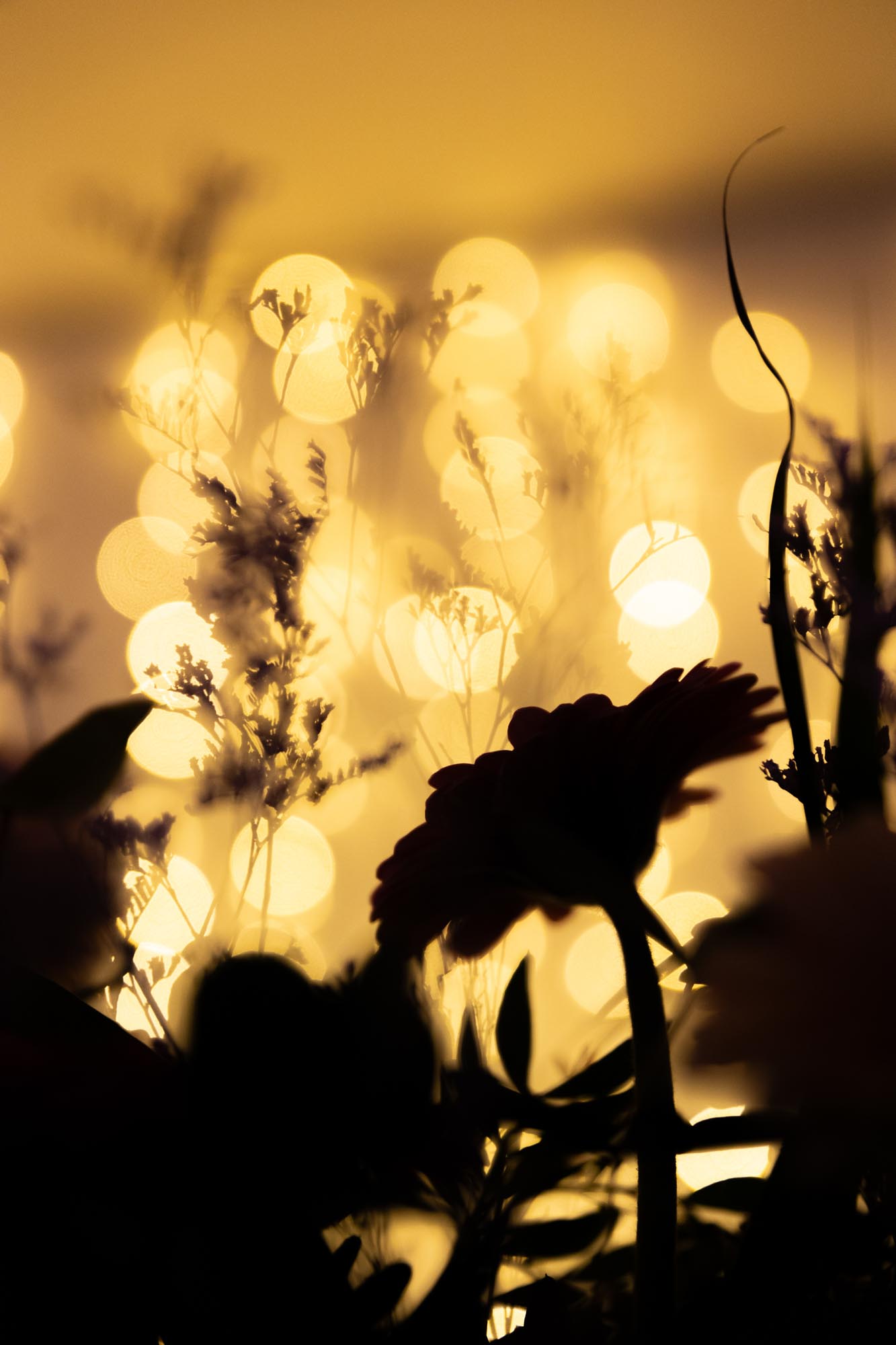 Lumière sur les photos de soirée
