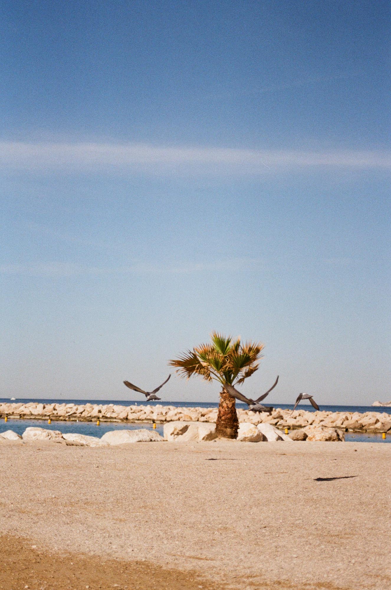 photo argentique marseille plage